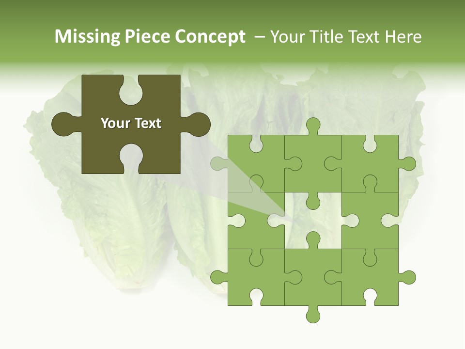 Chinese Lettuce In Isolated White Background PowerPoint Template