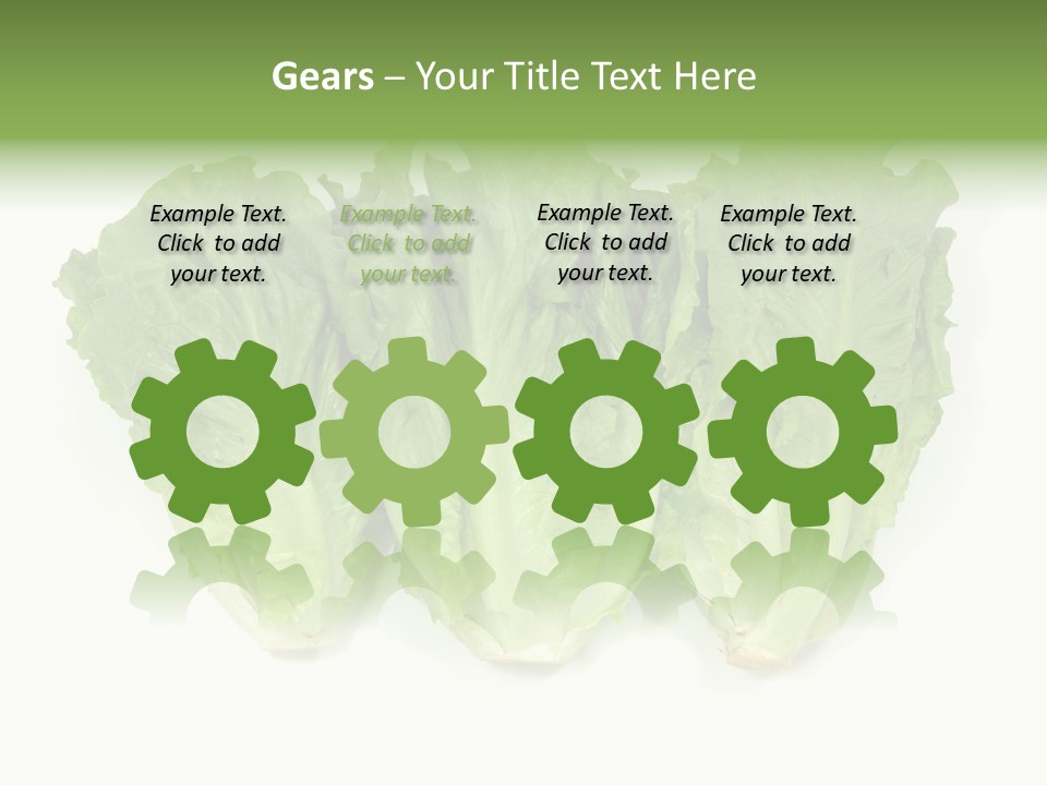 Chinese Lettuce In Isolated White Background PowerPoint Template