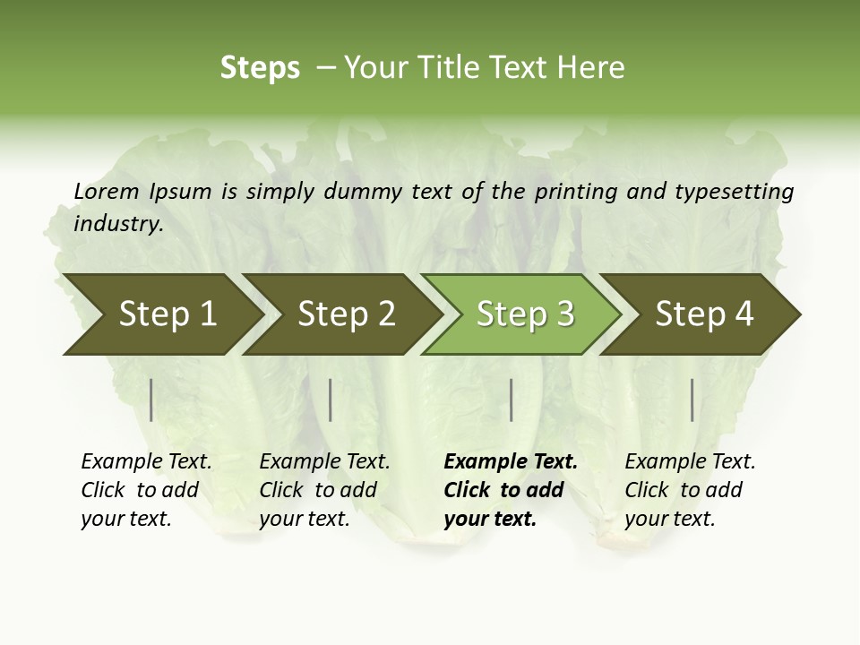 Chinese Lettuce In Isolated White Background PowerPoint Template