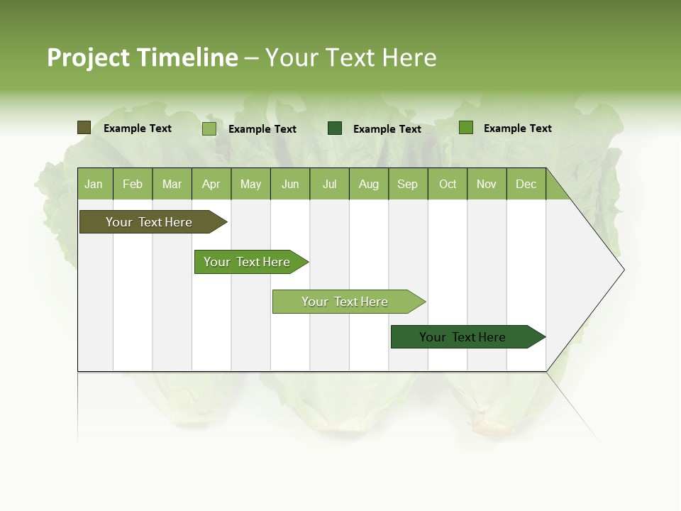 Chinese Lettuce In Isolated White Background PowerPoint Template