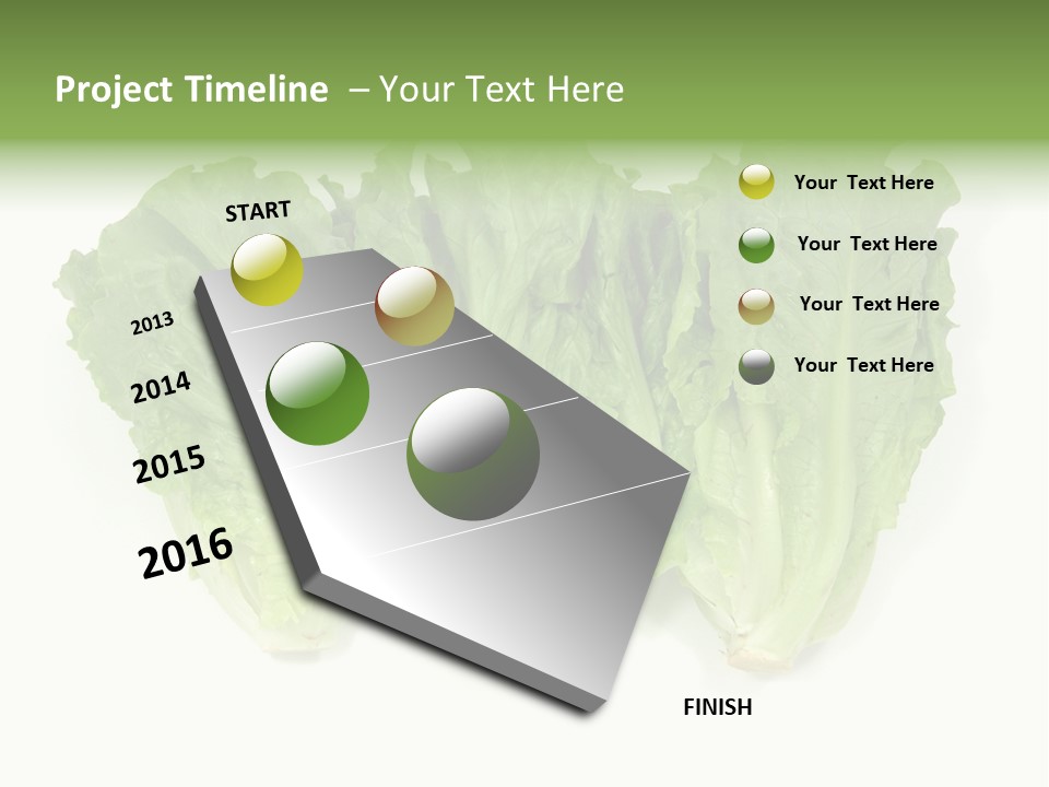 Chinese Lettuce In Isolated White Background PowerPoint Template