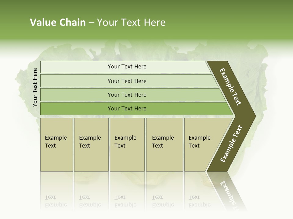 Chinese Lettuce In Isolated White Background PowerPoint Template