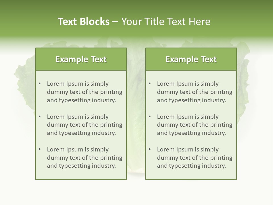Chinese Lettuce In Isolated White Background PowerPoint Template