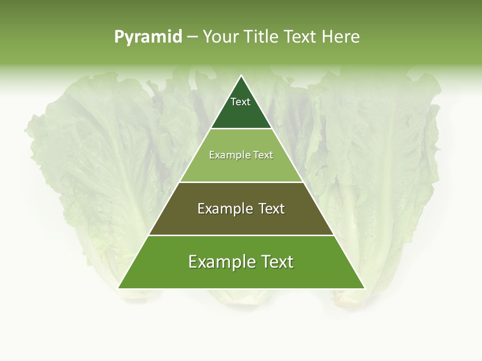 Chinese Lettuce In Isolated White Background PowerPoint Template