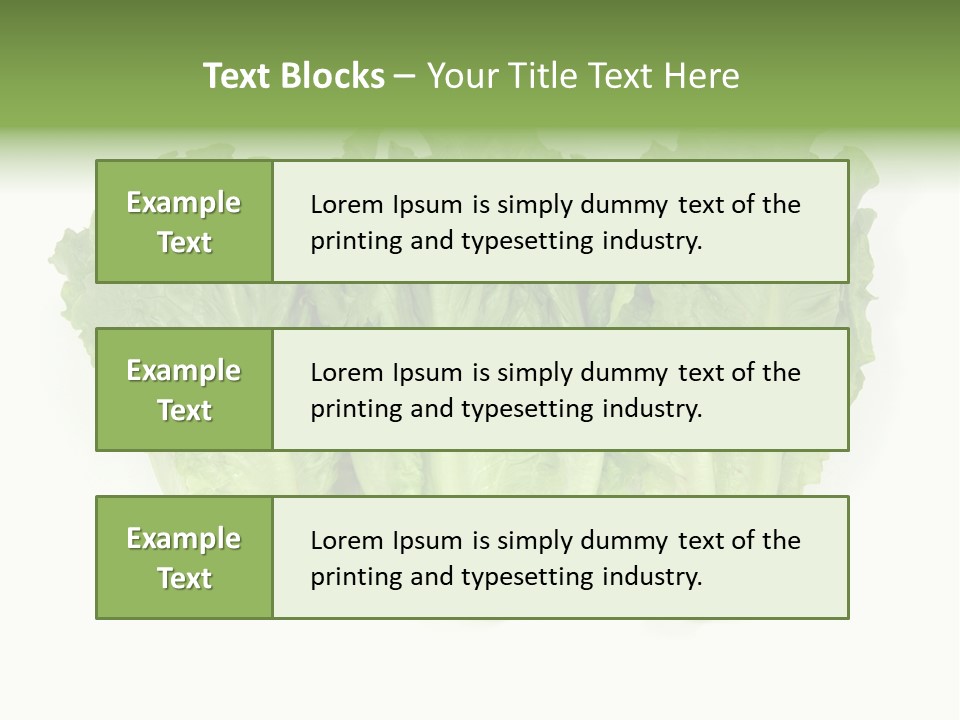 Chinese Lettuce In Isolated White Background PowerPoint Template