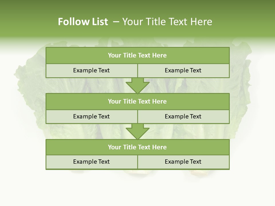 Chinese Lettuce In Isolated White Background PowerPoint Template