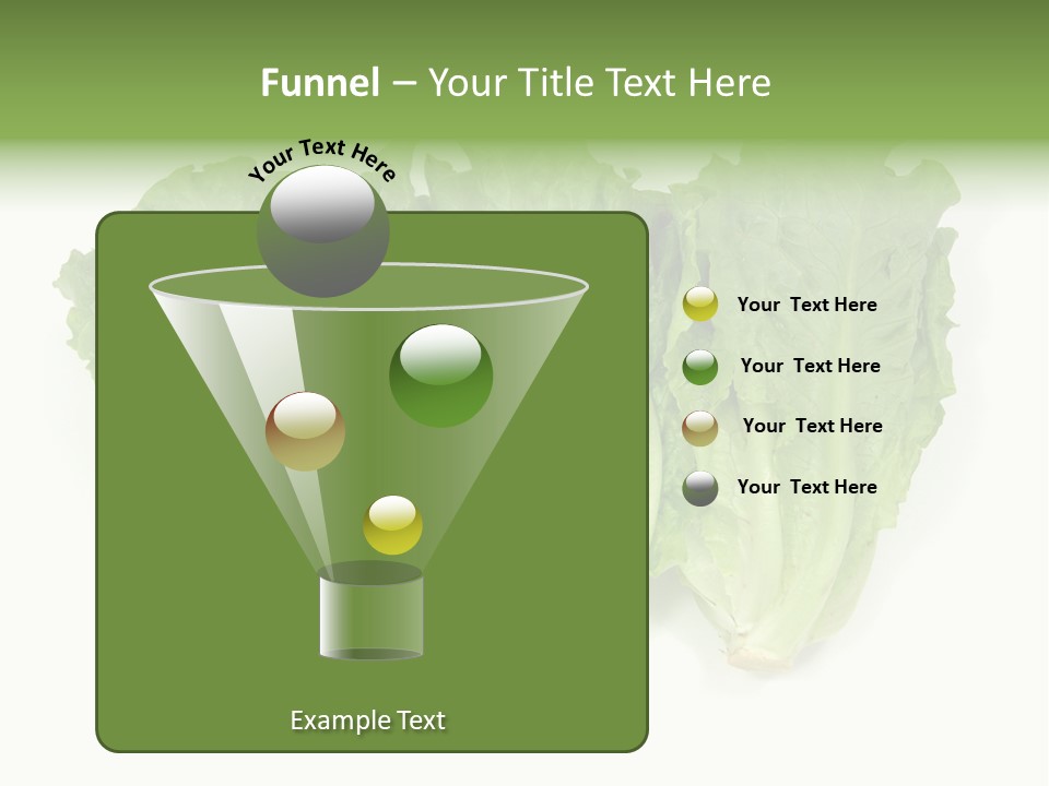 Chinese Lettuce In Isolated White Background PowerPoint Template