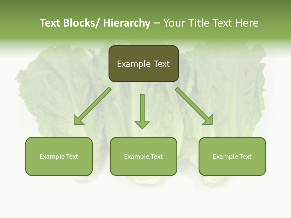 Chinese Lettuce In Isolated White Background PowerPoint Template