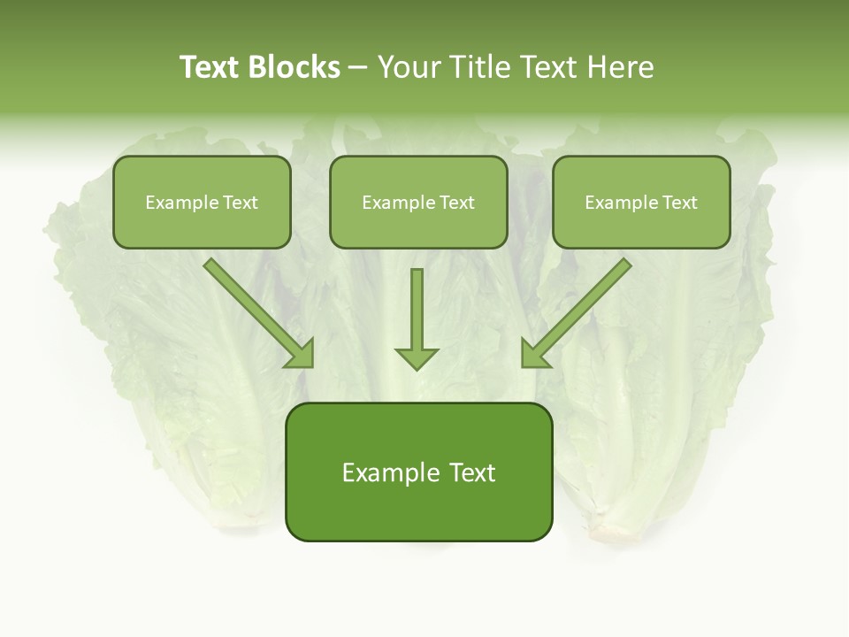 Chinese Lettuce In Isolated White Background PowerPoint Template