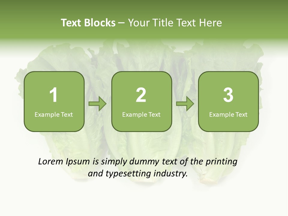 Chinese Lettuce In Isolated White Background PowerPoint Template