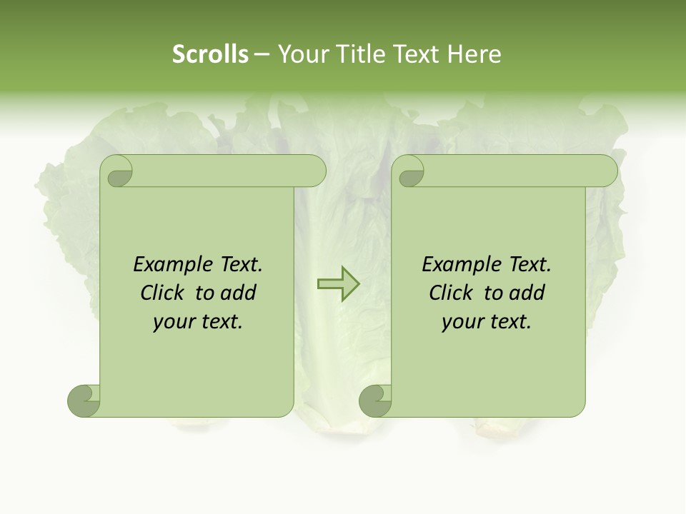 Chinese Lettuce In Isolated White Background PowerPoint Template