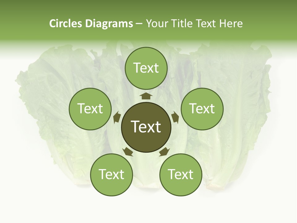 Chinese Lettuce In Isolated White Background PowerPoint Template