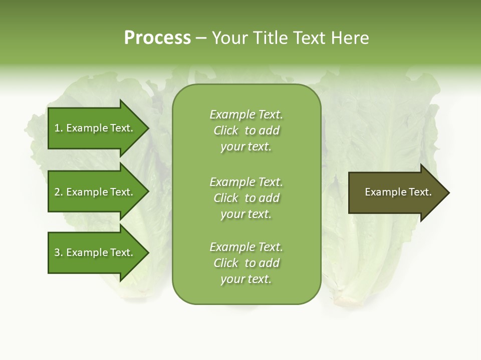 Chinese Lettuce In Isolated White Background PowerPoint Template