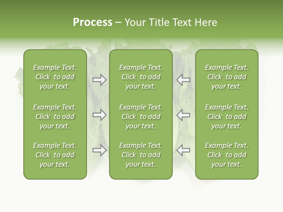 Chinese Lettuce In Isolated White Background PowerPoint Template