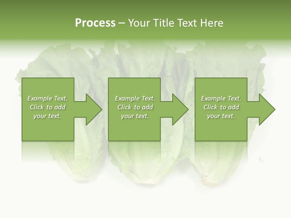 Chinese Lettuce In Isolated White Background PowerPoint Template