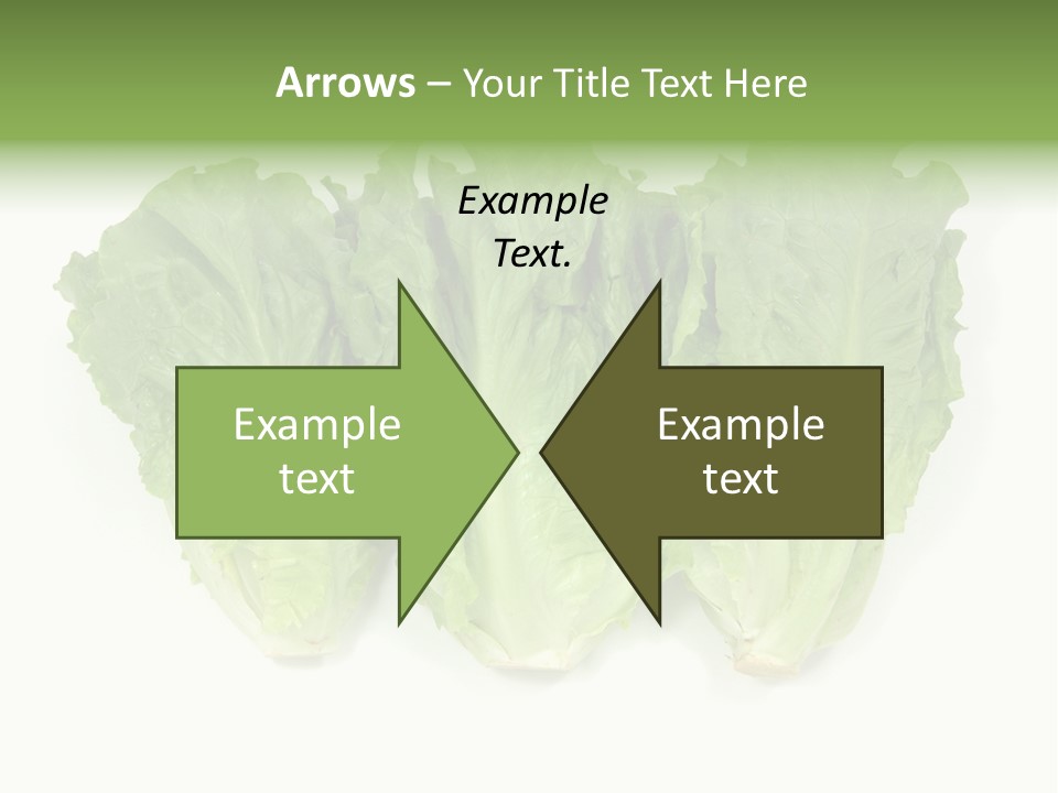 Chinese Lettuce In Isolated White Background PowerPoint Template