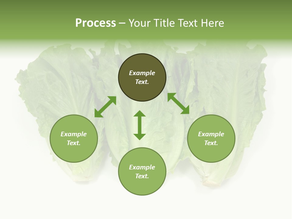 Chinese Lettuce In Isolated White Background PowerPoint Template