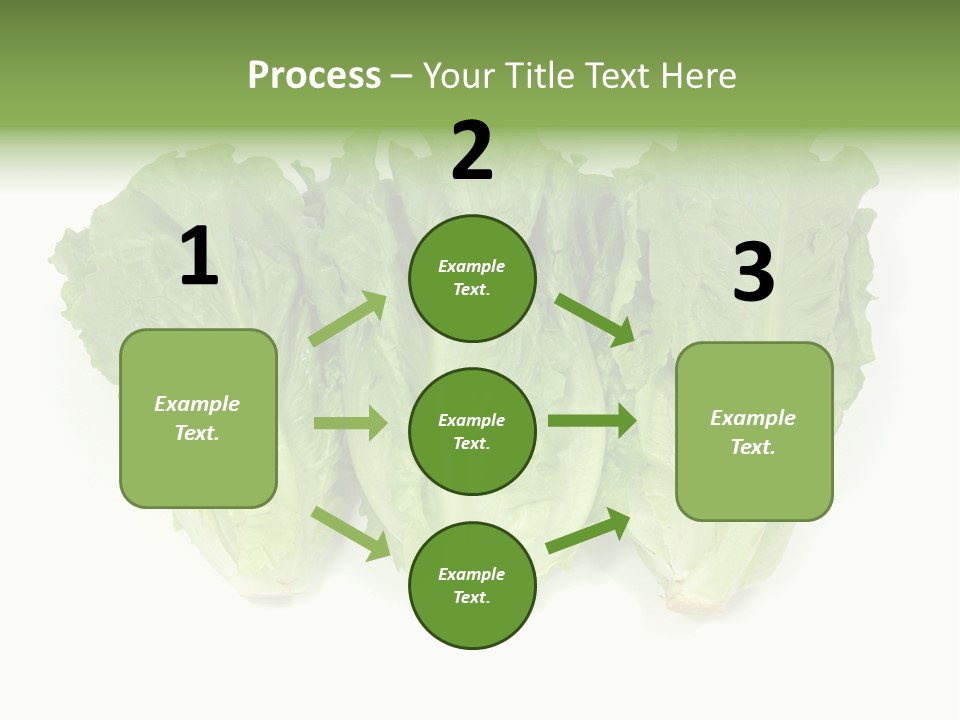 Chinese Lettuce In Isolated White Background PowerPoint Template
