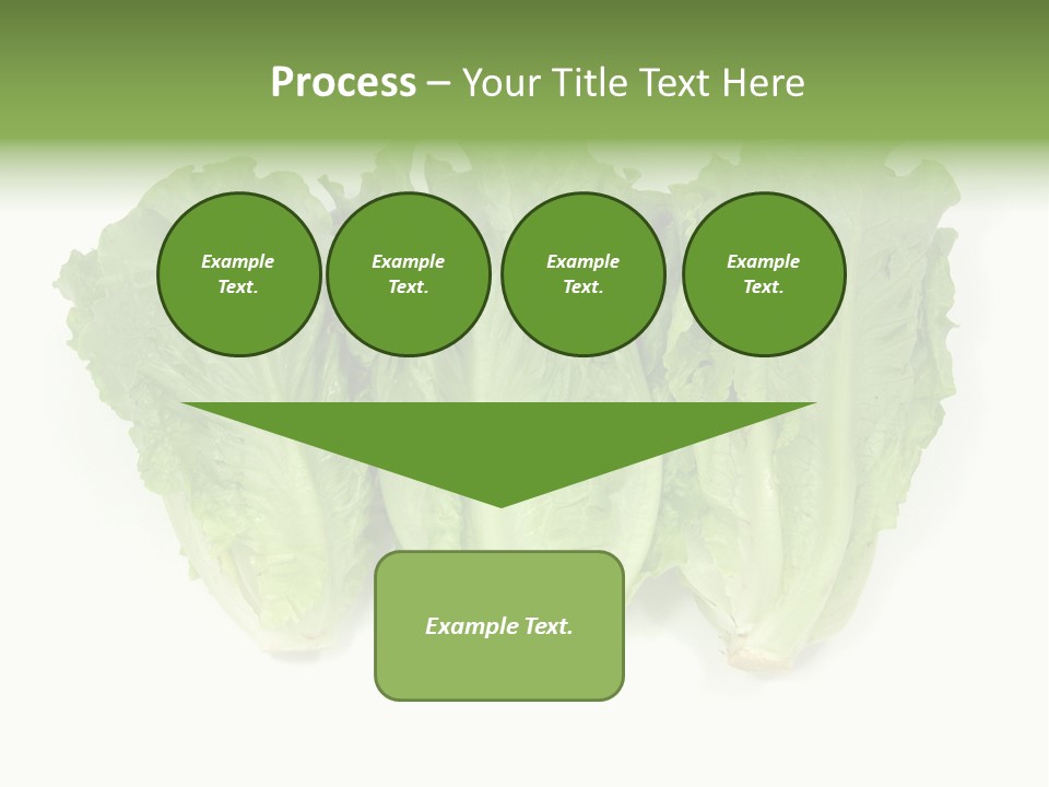 Chinese Lettuce In Isolated White Background PowerPoint Template