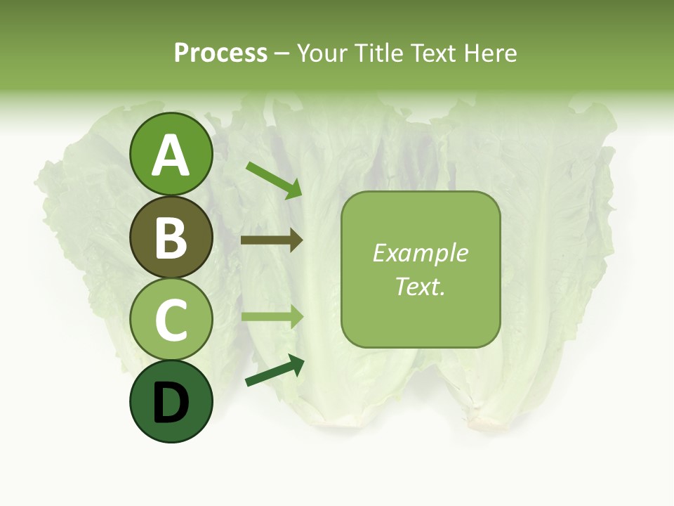Chinese Lettuce In Isolated White Background PowerPoint Template