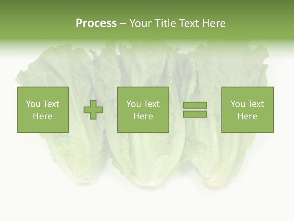 Chinese Lettuce In Isolated White Background PowerPoint Template