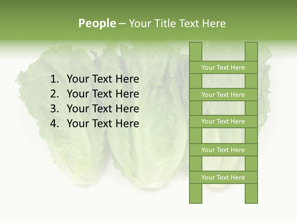 Chinese Lettuce In Isolated White Background PowerPoint Template
