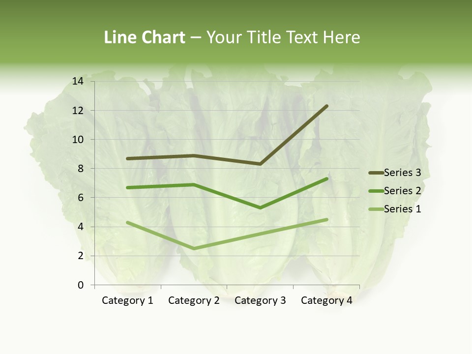 Chinese Lettuce In Isolated White Background PowerPoint Template