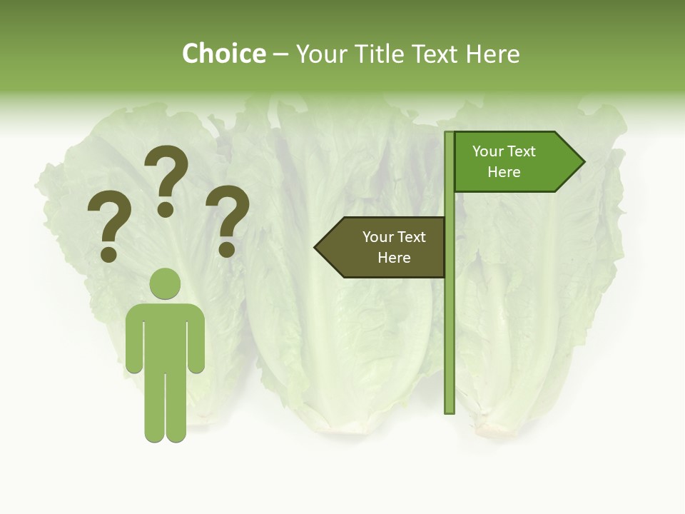 Chinese Lettuce In Isolated White Background PowerPoint Template