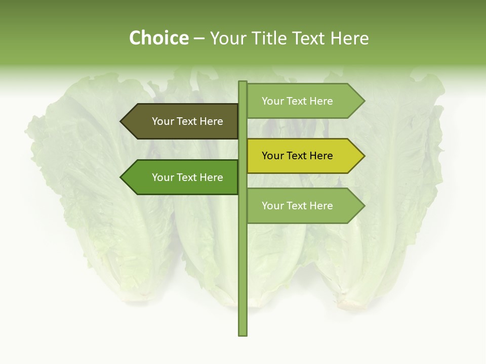 Chinese Lettuce In Isolated White Background PowerPoint Template