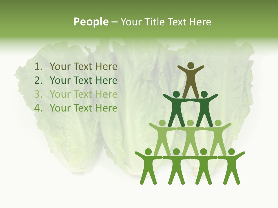 Chinese Lettuce In Isolated White Background PowerPoint Template