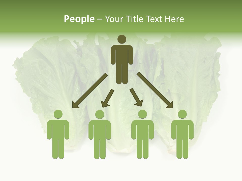 Chinese Lettuce In Isolated White Background PowerPoint Template
