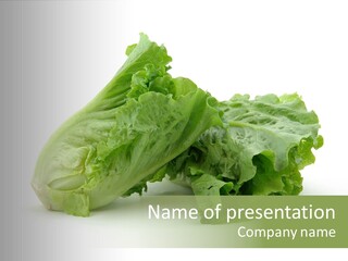 Chinese Lettuce In Isolated White Background PowerPoint Template