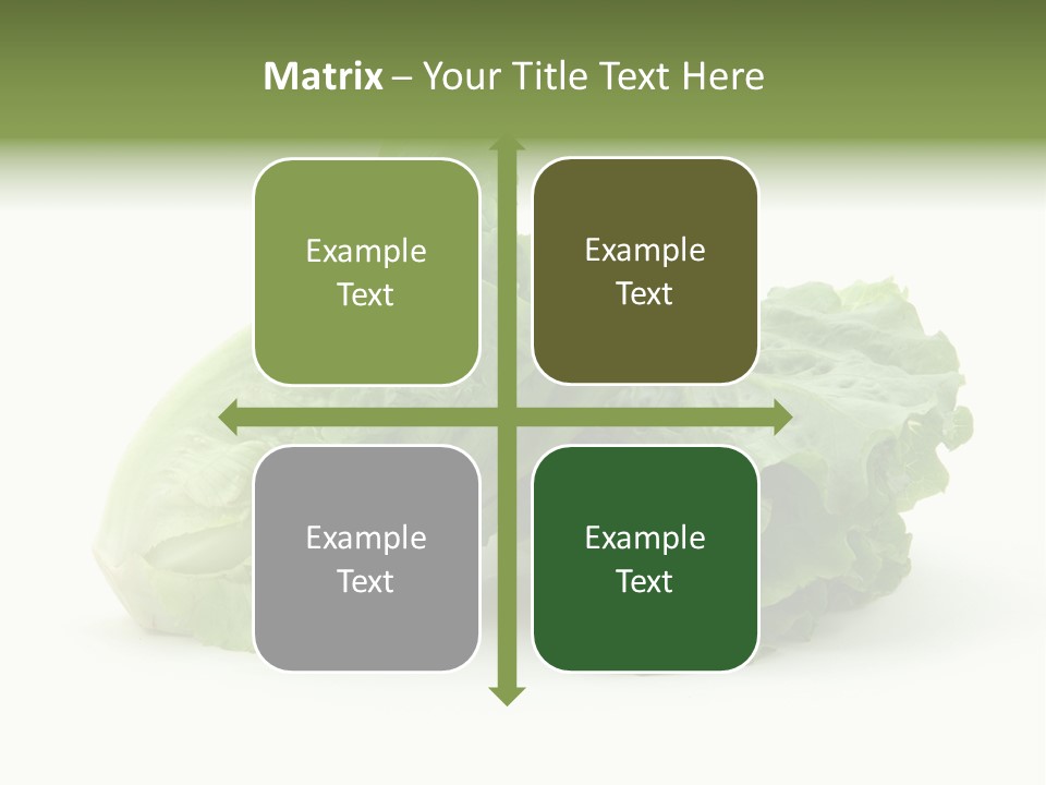 Chinese Lettuce In Isolated White Background PowerPoint Template