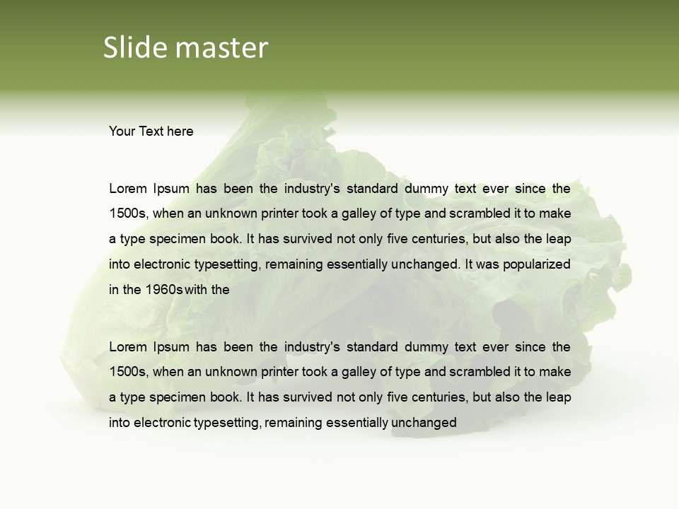 Chinese Lettuce In Isolated White Background PowerPoint Template
