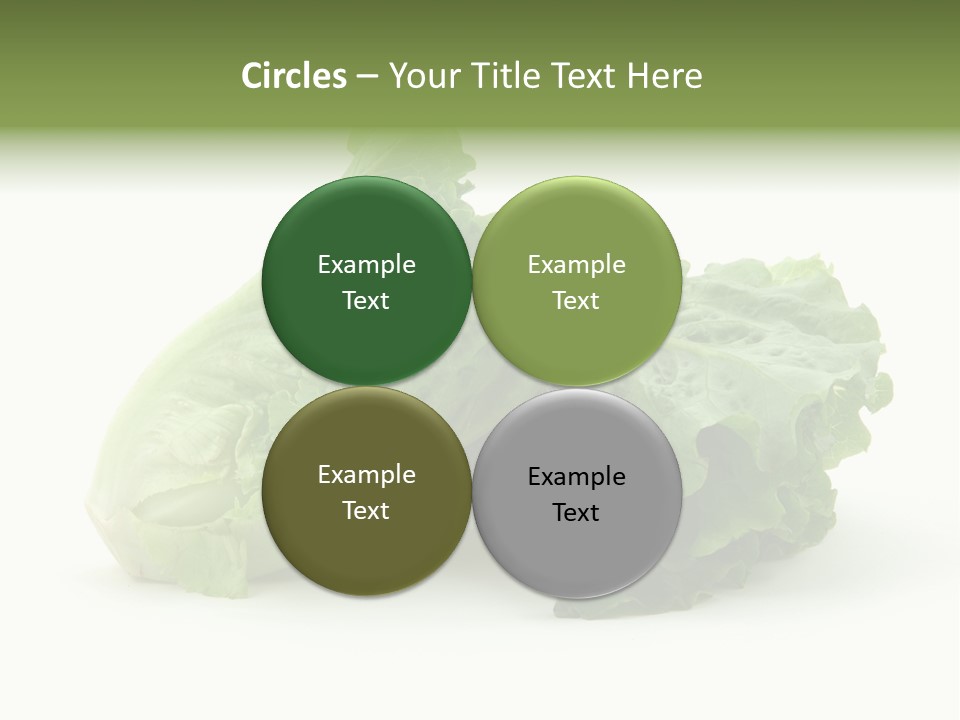 Chinese Lettuce In Isolated White Background PowerPoint Template