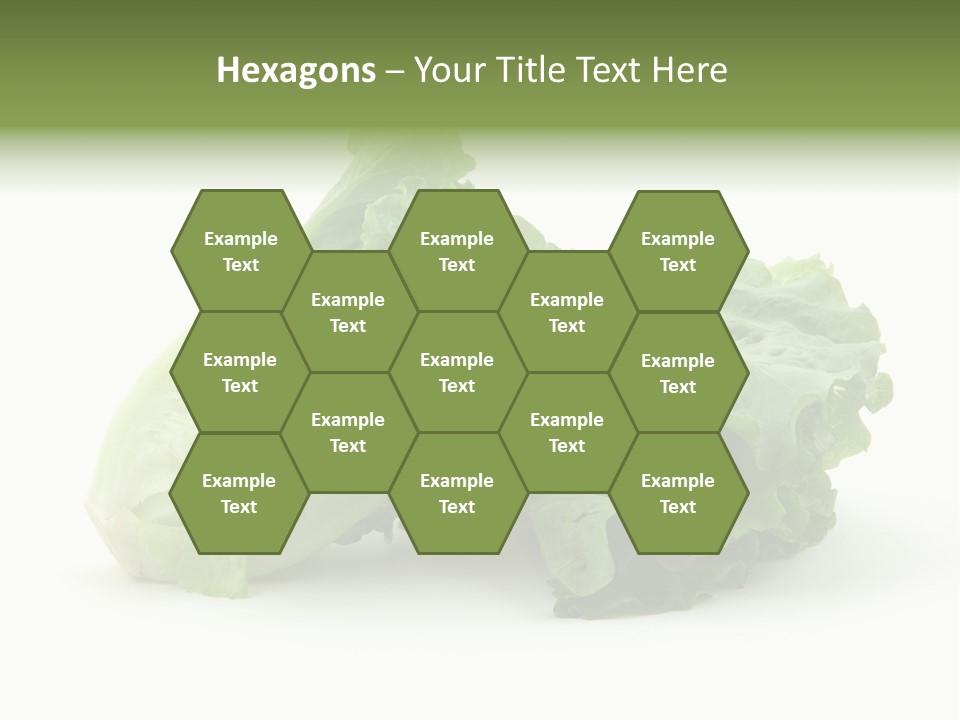 Chinese Lettuce In Isolated White Background PowerPoint Template