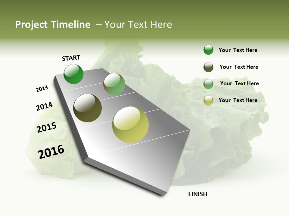 Chinese Lettuce In Isolated White Background PowerPoint Template