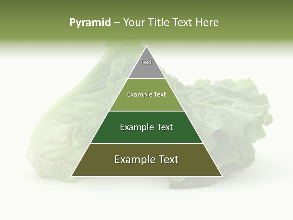 Chinese Lettuce In Isolated White Background PowerPoint Template