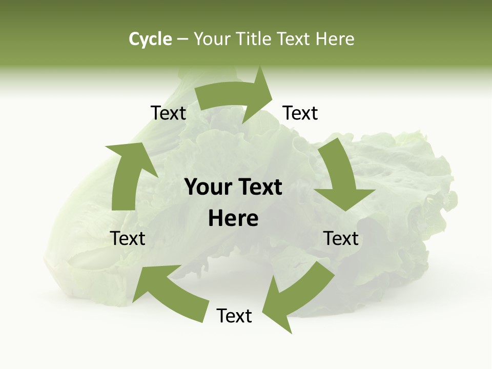 Chinese Lettuce In Isolated White Background PowerPoint Template