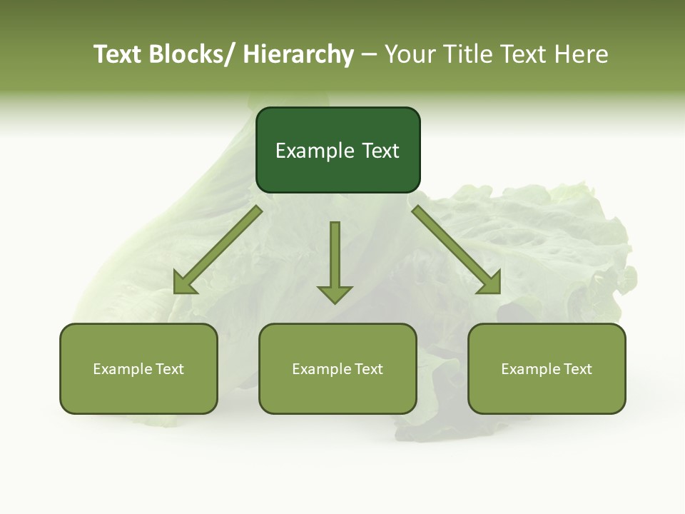 Chinese Lettuce In Isolated White Background PowerPoint Template