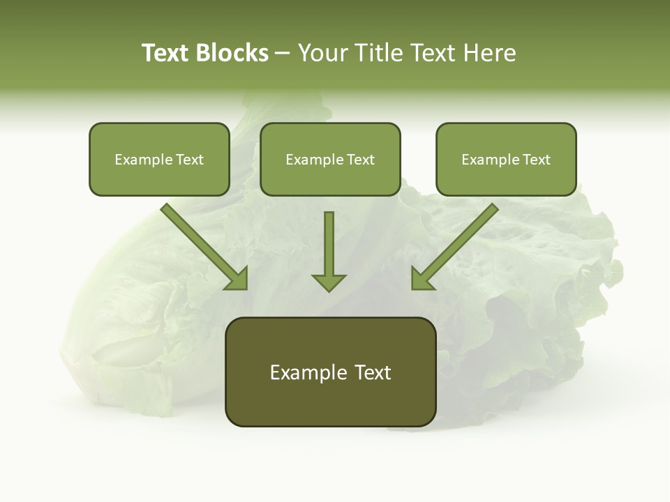 Chinese Lettuce In Isolated White Background PowerPoint Template