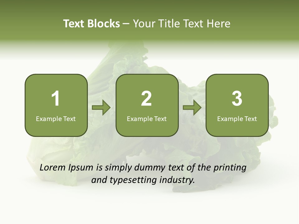 Chinese Lettuce In Isolated White Background PowerPoint Template