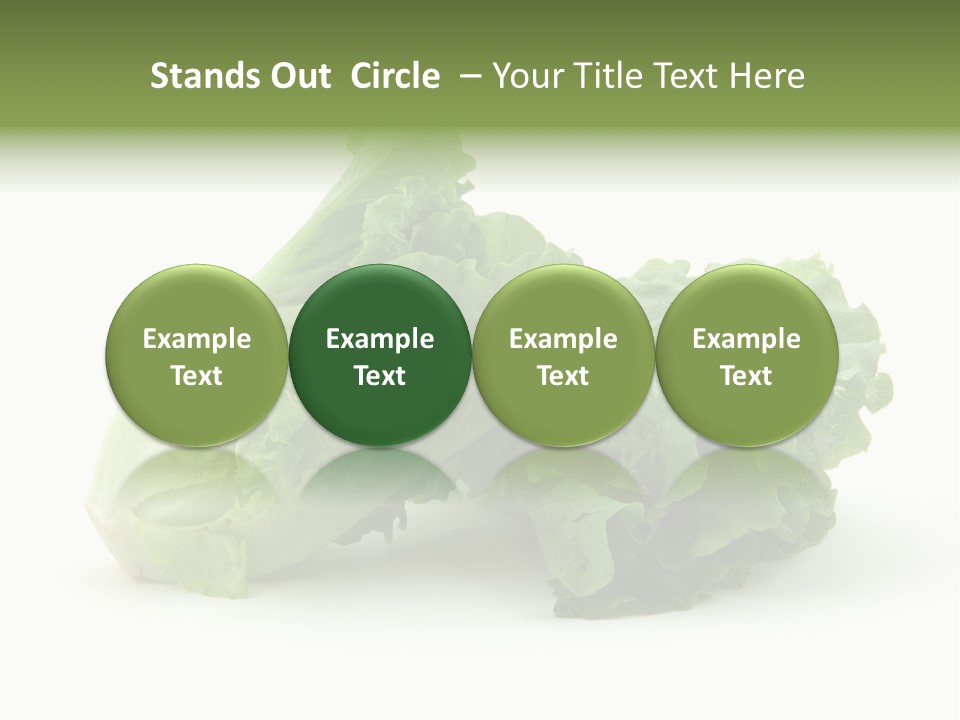 Chinese Lettuce In Isolated White Background PowerPoint Template