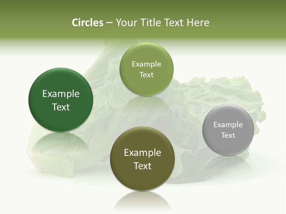 Chinese Lettuce In Isolated White Background PowerPoint Template