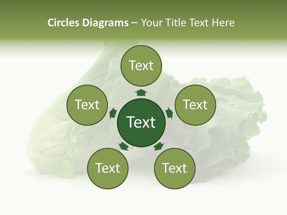 Chinese Lettuce In Isolated White Background PowerPoint Template