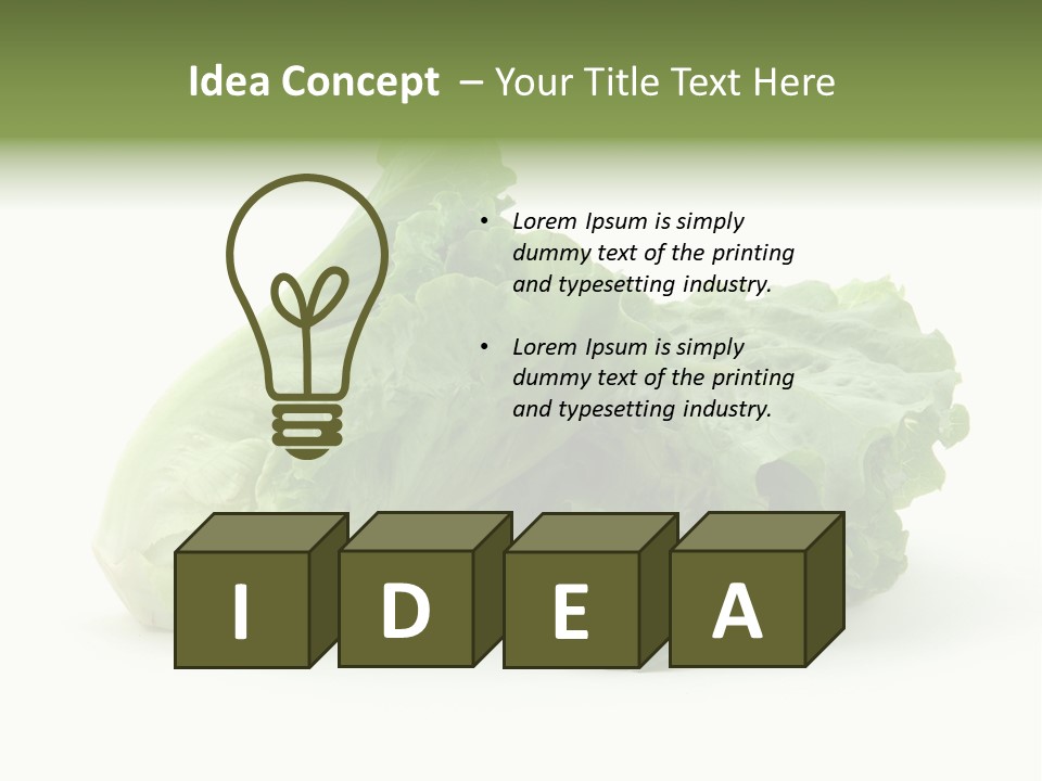 Chinese Lettuce In Isolated White Background PowerPoint Template