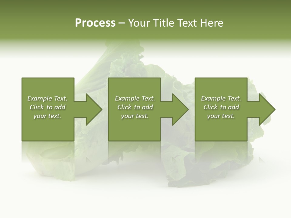 Chinese Lettuce In Isolated White Background PowerPoint Template