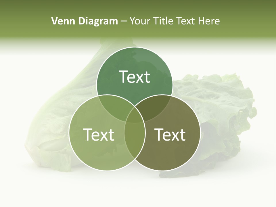Chinese Lettuce In Isolated White Background PowerPoint Template
