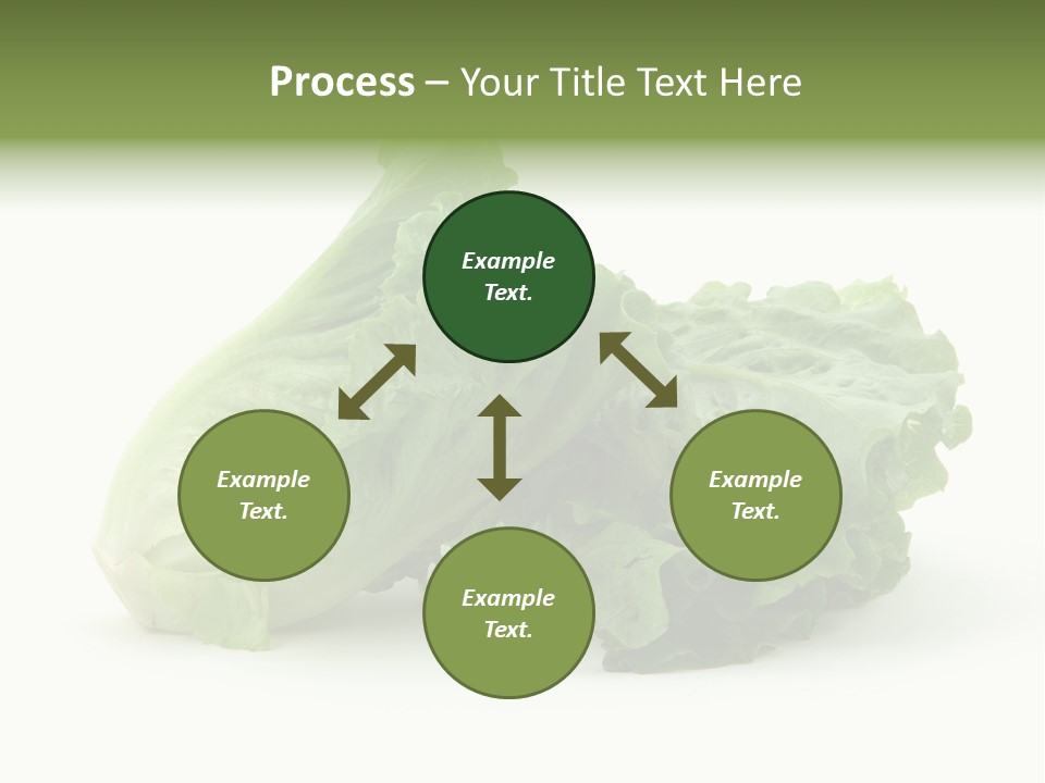 Chinese Lettuce In Isolated White Background PowerPoint Template