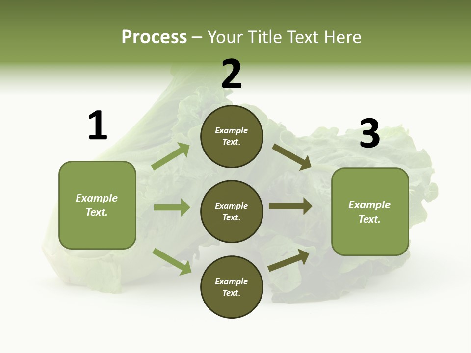 Chinese Lettuce In Isolated White Background PowerPoint Template